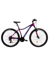 Bicicleta Mtb Terrana 2922 - 29 Inch, S, Violet
