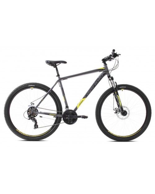 Bicicleta Capriolo Oxygen 29 silver-green 21